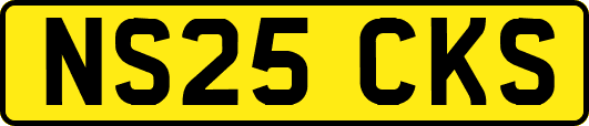NS25CKS