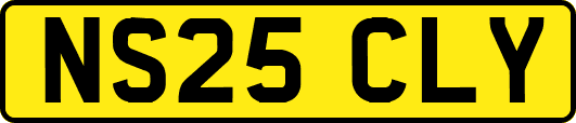 NS25CLY