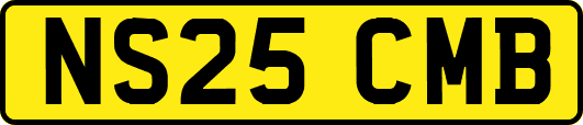 NS25CMB