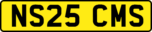 NS25CMS