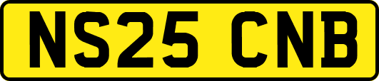 NS25CNB