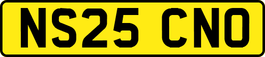 NS25CNO
