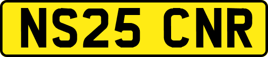 NS25CNR