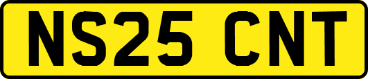 NS25CNT