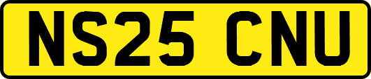 NS25CNU