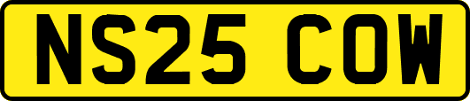 NS25COW