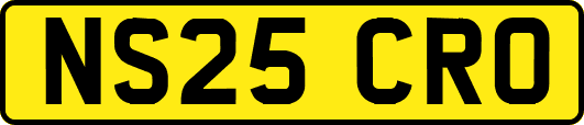 NS25CRO