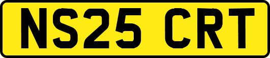 NS25CRT