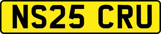 NS25CRU