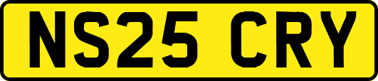NS25CRY