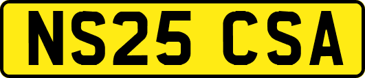 NS25CSA