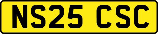 NS25CSC