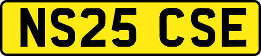 NS25CSE