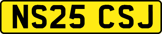 NS25CSJ