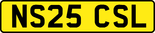 NS25CSL