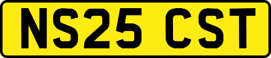 NS25CST