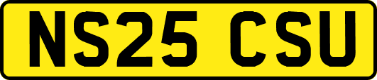 NS25CSU