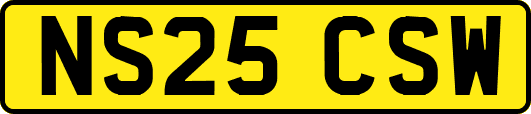 NS25CSW