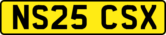 NS25CSX