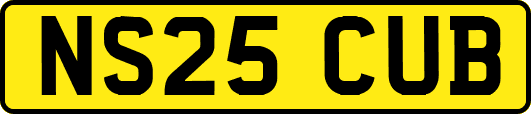 NS25CUB