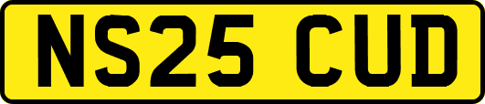 NS25CUD