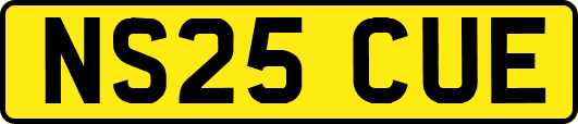 NS25CUE
