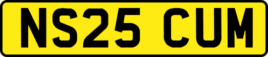 NS25CUM