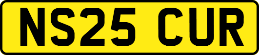 NS25CUR