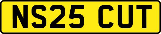 NS25CUT