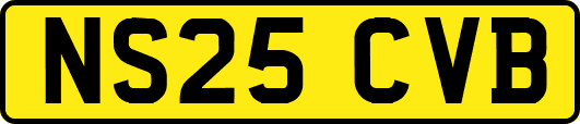 NS25CVB