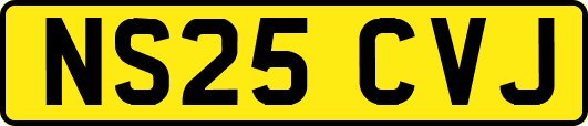 NS25CVJ
