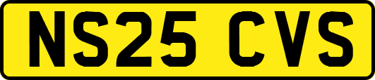 NS25CVS