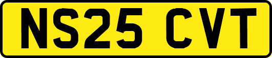 NS25CVT