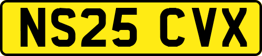 NS25CVX