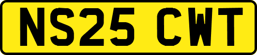 NS25CWT