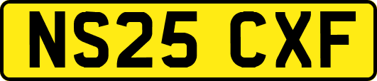NS25CXF