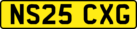 NS25CXG