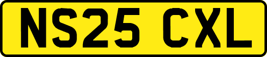 NS25CXL