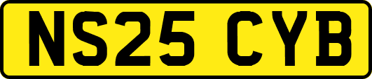 NS25CYB