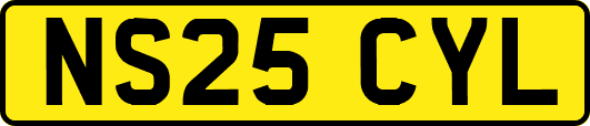 NS25CYL