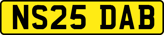 NS25DAB