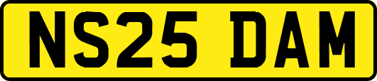 NS25DAM