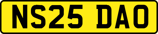 NS25DAO