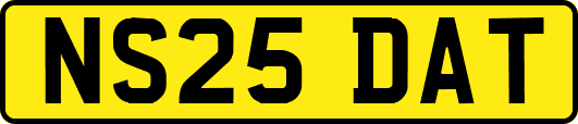 NS25DAT