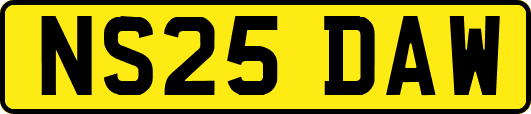 NS25DAW