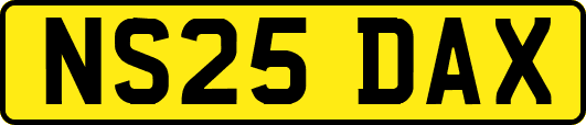 NS25DAX