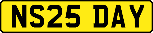 NS25DAY