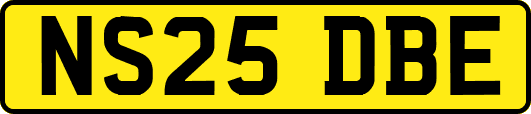 NS25DBE