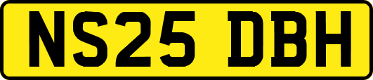 NS25DBH