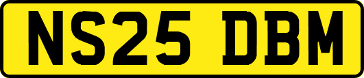 NS25DBM